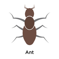 Ant icon vector sign and symbol isolated on white background