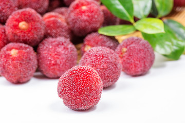 red and ripe waxberry under white background