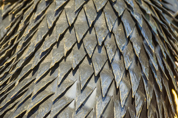 background, close-up of dragon scales