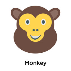 Monkey icon vector sign and symbol isolated on white background