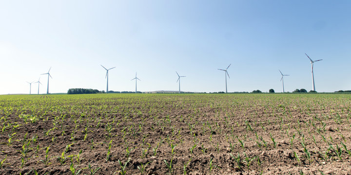 Windr&auml;der Selmsdorf
