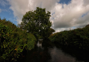 Obraz premium Wild creeks