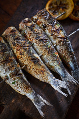 Grilled fish on metal skewers in close-up