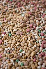 Dry pet food background.