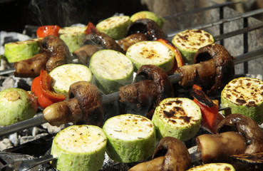 vegetarian picnic, grilled vegetables and mushrooms