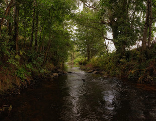 Obraz premium Wild creeks