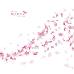 Petals Flying Background
