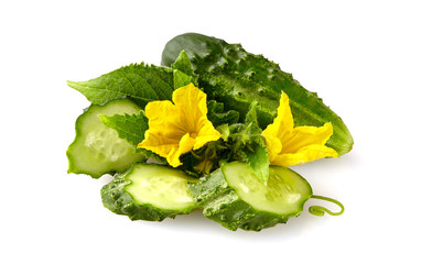 Fresh green cucumber with leaf and flower natural vegetables organic food isolated on white background.