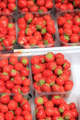 Strawberries in boxes