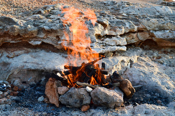 the firewood in a homemade barbecue made of stones on a rock on the seashore