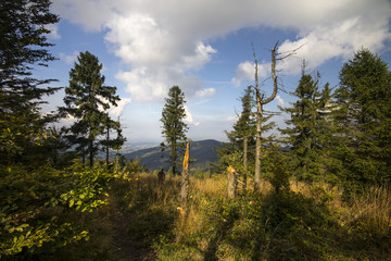 Beskid maly. Karpaty, Polska, g&oacute;ry, lato