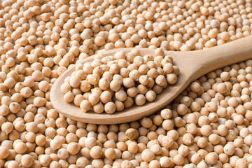 dry raw chickpeas in a spoon