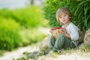 Child with strawberries
