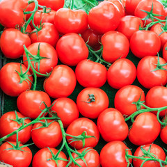 Fresh tomatoes in market