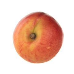 nectarine isolated
