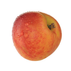 nectarine isolated