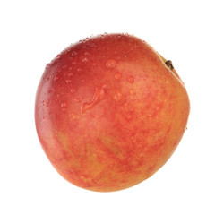 nectarine isolated
