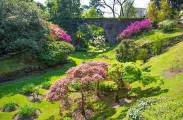 Beautiful flowers landscape in the botanical garden of Villa Taranto in Pallanza, Verbania, Italy.