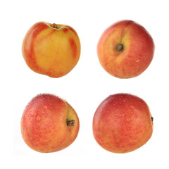 nectarine isolated