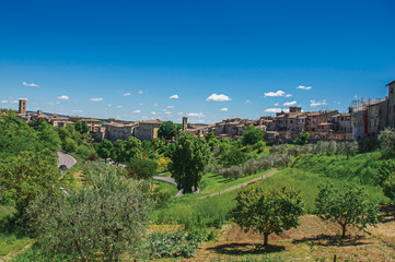 Fototapeta na wymiar View of Colle di Val d Elsa town with olive trees and vegetation at the front. A graceful village with its historic center preserved and known by its crystal production. Located in the Tuscany region 