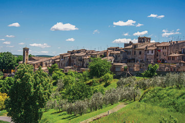 View of Colle di Val d Elsa town with olive trees and vegetation at the front. A graceful village with its historic center preserved and known by its crystal production. Located in the Tuscany region 