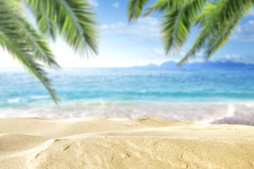 Tropical Beach Background with Palm Leaves, Sand, and Sea – Copy Space for Product or Text