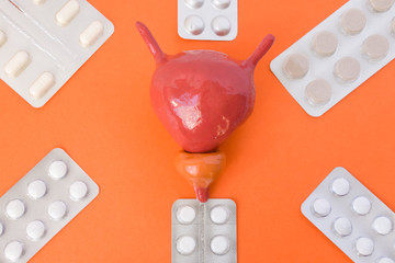 Anatomical models of prostate and bladder surrounded by six blister packs with white pills inside...