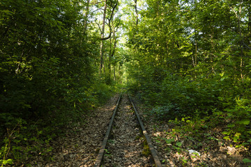 Alte Schienen im Wald, Totes Gleis im Wald, Bahnschienen im Wald, verlassene Bahnanlage im Wald