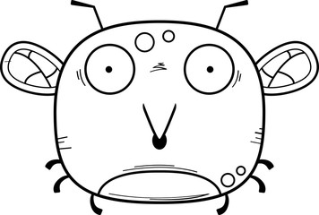 Surprised Little Mosquito