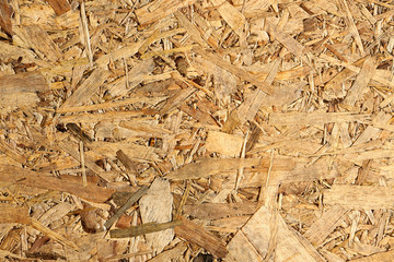 Close up plywood texture