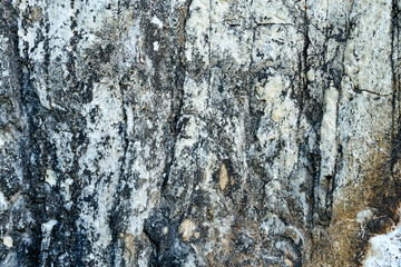 White rock texture