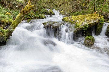 Fototapeta na wymiar Torrent of water from the Naviego River in the Leitariegos Valley, Asturias, Spain.
