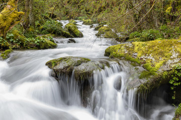 Torrent of water from the Naviego River in the Leitariegos Valley, Asturias, Spain.