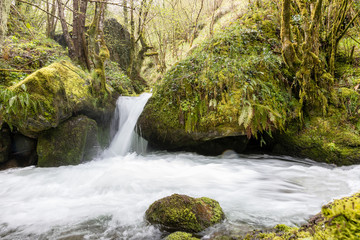 Torrent of water from the Naviego River in the Leitariegos Valley, Asturias, Spain.