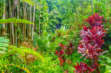 Obrazy na Szkle  Hawajski tropikalny raj