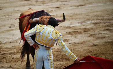 Obraz premium toreo en españa