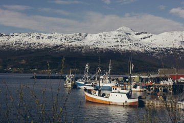 Fototapeta na wymiar Fishing village in norway
