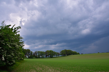 Gewitter im Harz