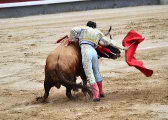 torero
