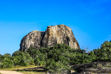 Fototapeta na wymiar Sri lanka Yala National Park Elephant Rock