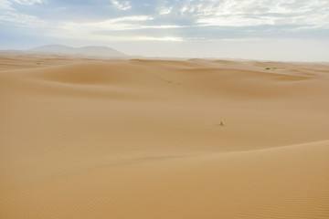 Merzouga desert