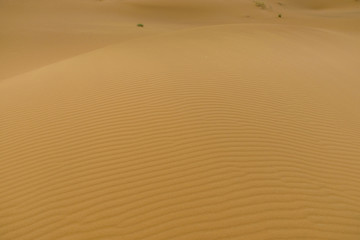 Merzouga desert