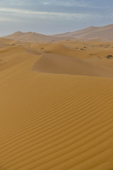 Fototapeta na wymiar Merzouga desert