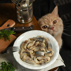 herring tasty seafood on a plate (a herring fish in marinade) - cuisine.  Food background