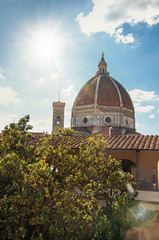 Fototapeta premium Close-up of roof in building, tree and Cathedral dome with sunny blue sky in the city of Florence, the famous and amazing capital of the Italian Renaissance. In the Tuscany region. Retouched photo
