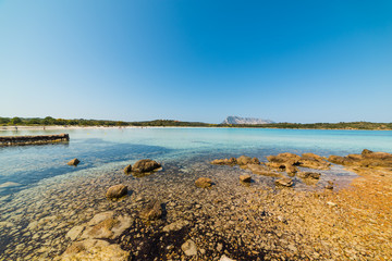 small rocks in Cala Brandinchi