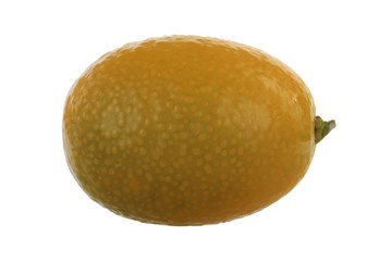 kumquat isolated on white background