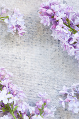 Textured gray background with branches of lilac