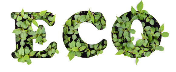 The word ECO of green leaves in a paper stencil