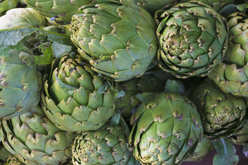Obraz premium group of artichokes,